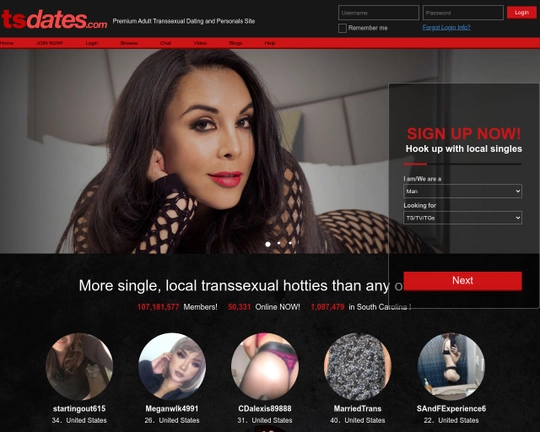 TsDates Logo